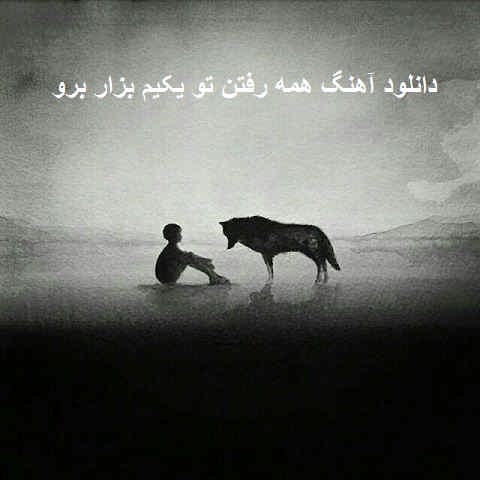 دانلود آهنگ همه رفتن تو یکیم بزار برو