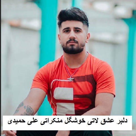 دانلود آهنگ دلبر عشق لاتی خوشگل منکراتی علی حمیدی