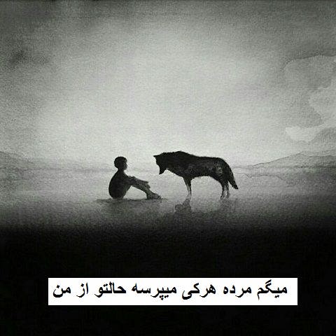 دانلود آهنگ میگم مرده هرکی میپرسه حالتو از من