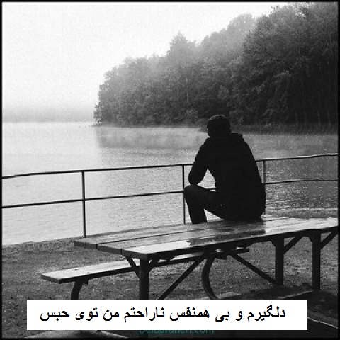 دانلود آهنگ دلگیرم و بی هم نفس ناراحتم من توی حبس