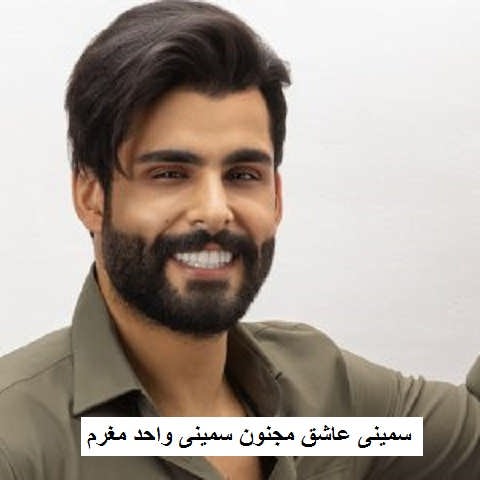 دانلود آهنگ سمینی عاشق مجنون سمینی واحد مغرم