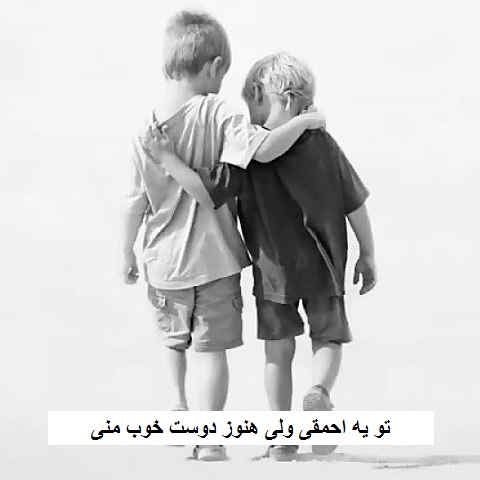 دانلود آهنگ تو یه احمقی ولی هنوز دوست خوب منی