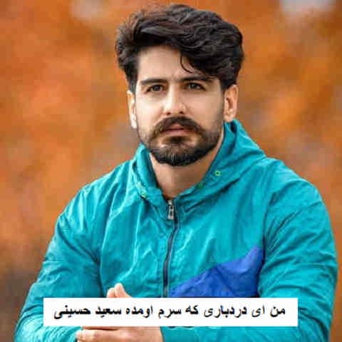 دانلود آهنگ من ای دردباری که سرم اومده سعید حسینی