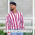 دانلود آهنگ صدای لله وا بمو بیچاره دل صدا بمو امیر فضلی