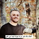 دانلود آهنگ مگه دلبر من ته دیوانه نیمه ابی عالی