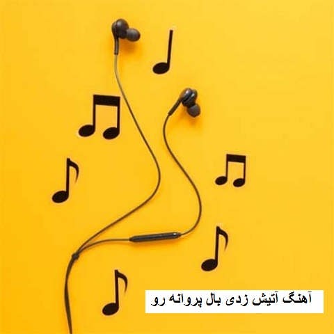 دانلود آهنگ آتیش زدی بال پروانه رو شاید بسوزه این جنگل یه روز