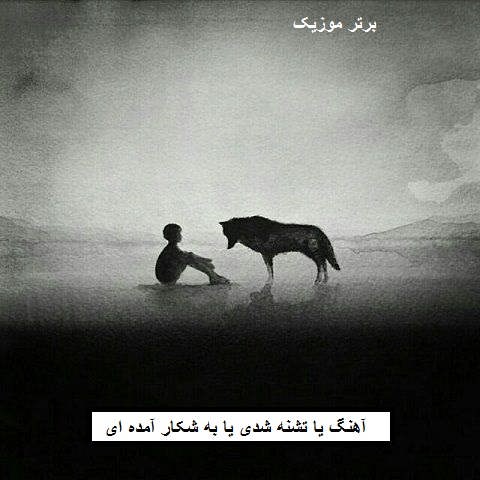 دانلود آهنگ یا تشنه شدی یا به شکار آمده ای یا مولا دلم تنگ اومده