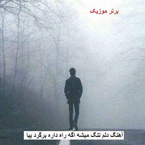 دانلود آهنگ دلم تنگ میشه اگه راه داره برگرد بیا