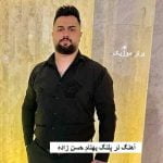دانلود آهنگ نر پلنگ بهنام حسن زاده