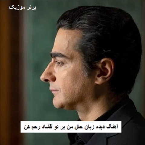 دانلود آهنگ دیده زبان حال من بر تو گشاد رحم کن همایون شجریان