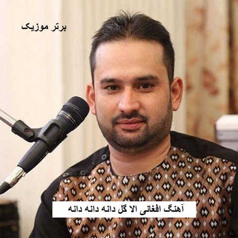 دانلود آهنگ افغانی الا گل دانه دانه دانه