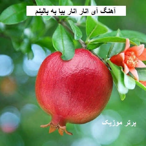 دانلود آهنگ آی انار انار بیا به بالینم شبنم گل نار بیا به بالینم