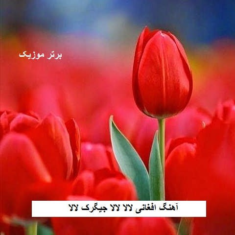 دانلود آهنگ افغانی لالا لالا جیگرک لالا