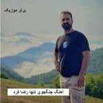 دانلود آهنگ جنگجوی تنها رضا کرد
