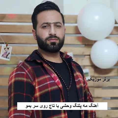دانلود آهنگ مه پلنگ وحشی با تاج روی سر بمو وحید مرادی