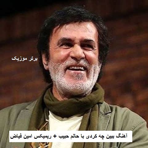 دانلود آهنگ ببین چه کردی با حالم حبیب و امین فیاض