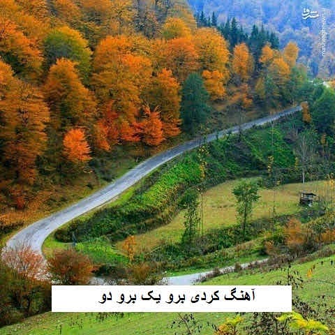 دانلود آهنگ کردی برو یک برو دو
