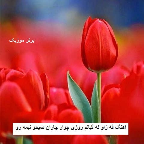 دانلود آهنگ قه زاو له گیانم روژی چوار جاران صبحو نیمه رو