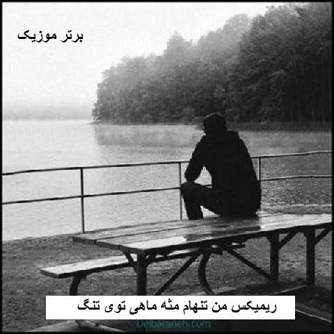 دانلود ریمیکس من تنهام مثه ماهی توی تنگ حصین دانلود ریمیکس من تنهام مثه ماهی توی تنگ حصین