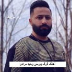 دانلود آهنگ گرگ پارسی وحید مرادی