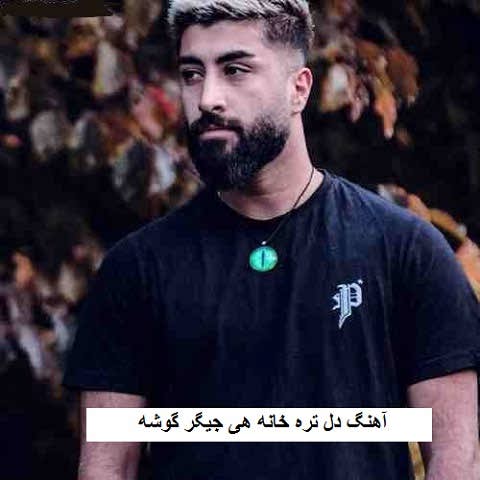 دانلود آهنگ دل تره خانه هی جیگر گوشه علی رمضانپور دانلود آهنگ دل تره خانه هی جیگر گوشه علی رمضانپور