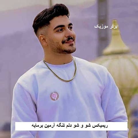 دانلود ریمیکس شو و شو دلم تنگه آرمین برمایه