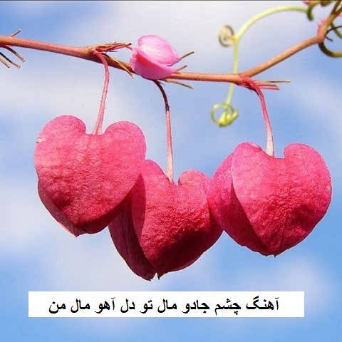 دانلود آهنگ چشم جادو مال تو دل آهو مال من دانلود آهنگ چشم جادو مال تو دل آهو مال من