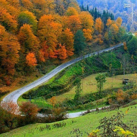 دانلود آهنگ محلمون وارشی میاد هر روز خاله شی