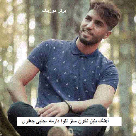 دانلود آهنگ بلبل نخون ساز للوا دارمه مجتبی جعفری
