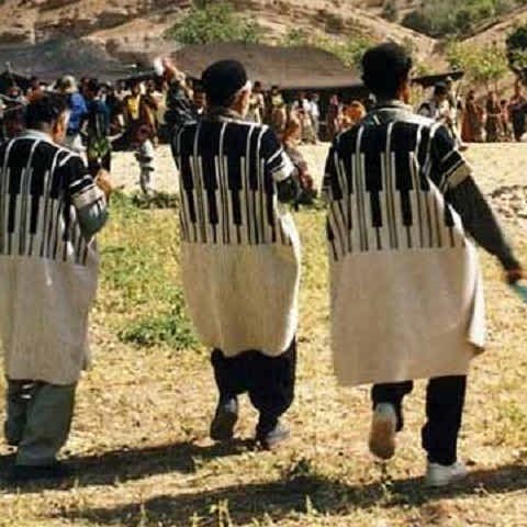 دانلود آهنگ من لرم هم ریشه دارم هم ادب یک لر فیلی تبار با نسب