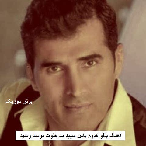 دانلود آهنگ بگو کدوم یاس سپید به خلوت بوسه رسید