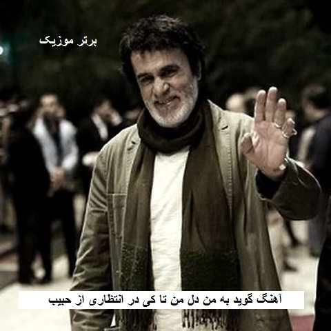 دانلود آهنگ گوید به من دل من تا کی در انتظاری از حبیب