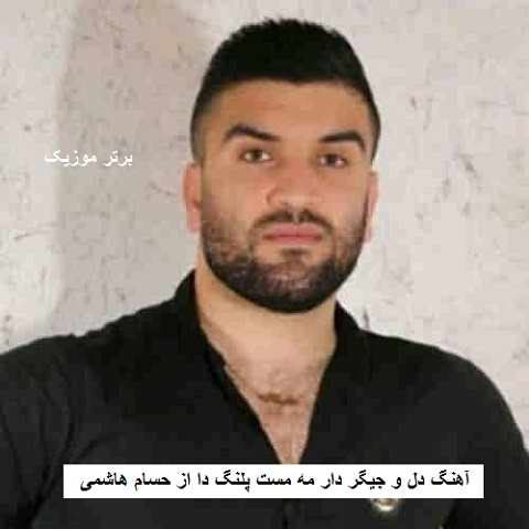 دانلود آهنگ دل و جیگر دار مه مست پلنگ دا حسام هاشمی