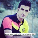 دانلود آهنگ شیرمرد این دیاره خدایی افتخاره محسن لرستانی