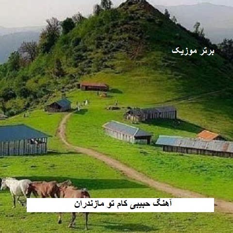 دانلود آهنگ حبیبی کام تو مازندران