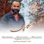 دانلود آهنگ شکارچی صفر گلردی