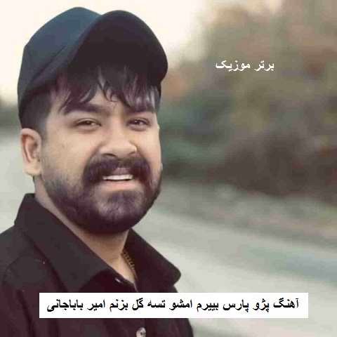 دانلود آهنگ پژو پارس بییرم امشو تسه گل بزنم امیر باباجانی