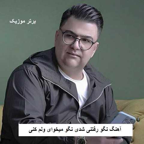 دانلود آهنگ نگو رفتنی شدی نگو میخوای ولم کنی