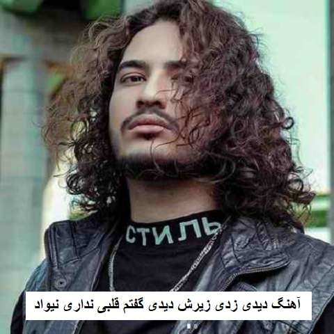 دانلود آهنگ دیدی زدی زیرش دیدی گفتم قلبی نداری نیواد