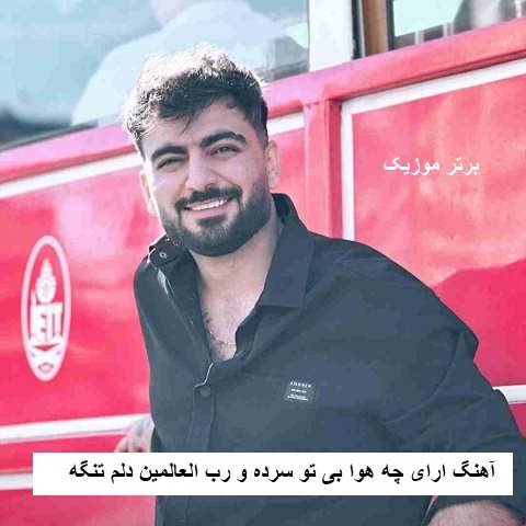 دانلود آهنگ ارای چه هوا بی تو سرده و رب العالمین دلم تنگه رامین تجنگی