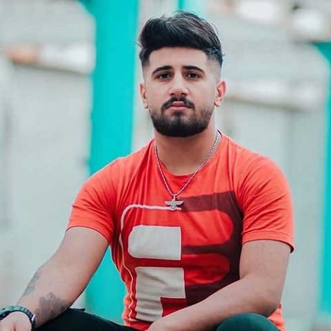 دانلود آهنگ دنده عقب ناینی شیر وچوعه علی حمیدی