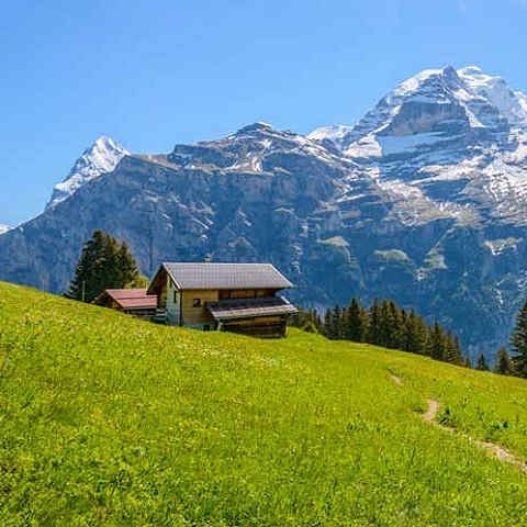 دانلود آهنگ گذشته فریبم داد حال عذابم میدهد از آینده وحشت دارم