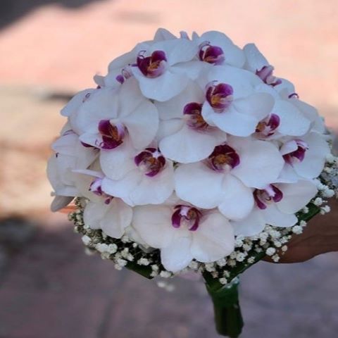 دانلود آهنگ بی کلام گل ارکیده