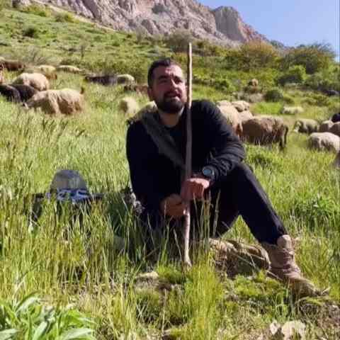 دانلود آهنگ سر کوی سیایم جان دلبر آ بمردمه مهدی کارگر دانلود آهنگ سر کوی سیایم جان دلبر آ بمردمه مهدی کارگر
