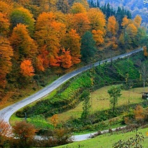دانلود آهنگ نشا ره هاکنم گله به گله وجین هاکنم
