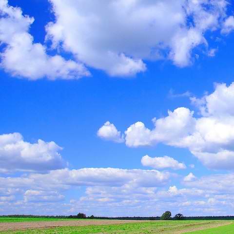 دانلود آهنگ پل جان ته وفاداره از حاجی ایم پردیسی