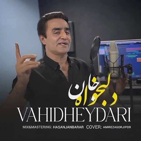 دانلود آهنگ دلبخواه جان وحید حیدری