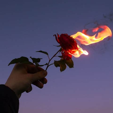 دانلود آهنگ دل تو امروزیه قصه ی دوست داشتنو باور نداره