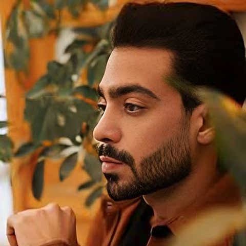 دانلود آهنگ به کرمان اومدم غمگین و خسته علی جوادزاده