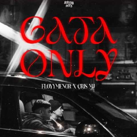 دانلود آهنگ Gata Only از Cris MJ FloyyMenor